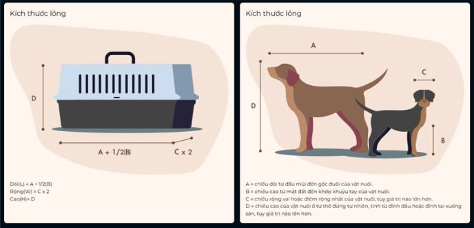 Quy trình vận chuyển thú cưng từ Hà Nội đi các tỉnh phía Bắc
