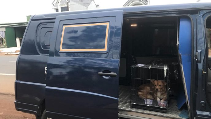 van chuyen thu cung bang oto