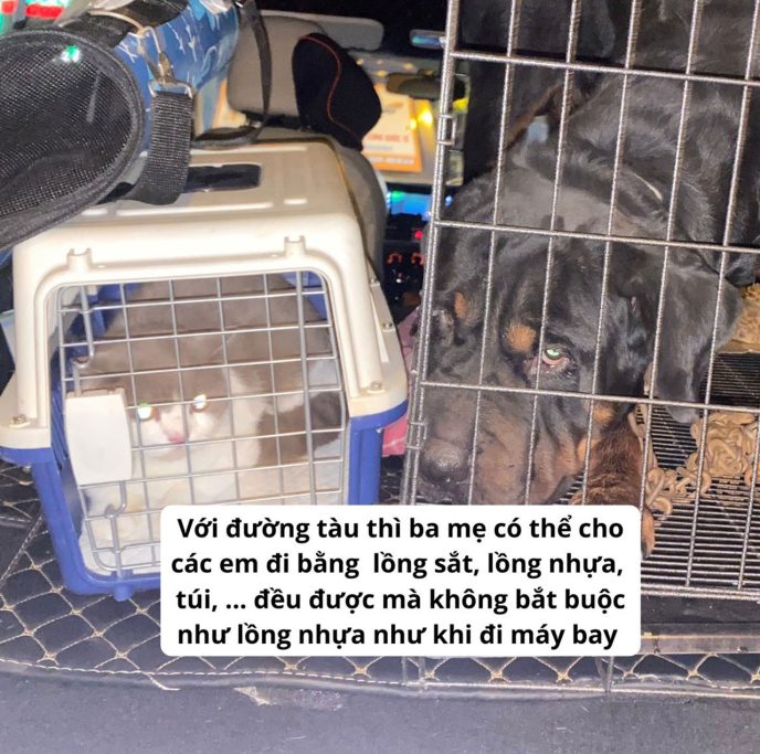 van chuyen thu cung bang tau hoa 3