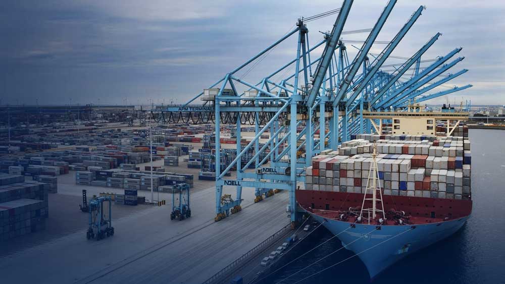 Phí CIC là gì trong xuất nhập khẩu