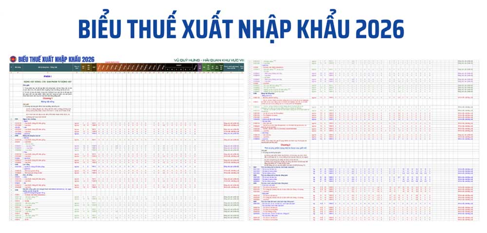 Biểu thuế xuất nhập khẩu 2026