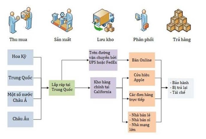 Các hoạt động ở chuỗi cung ứng