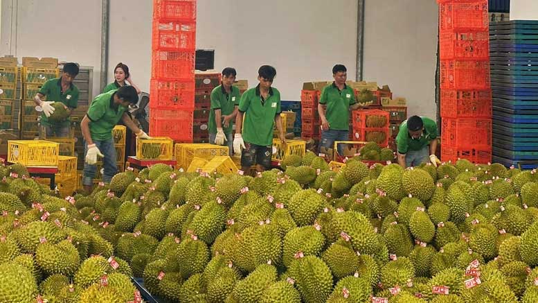 Thủ tục xuất khẩu sang Trung Quốc