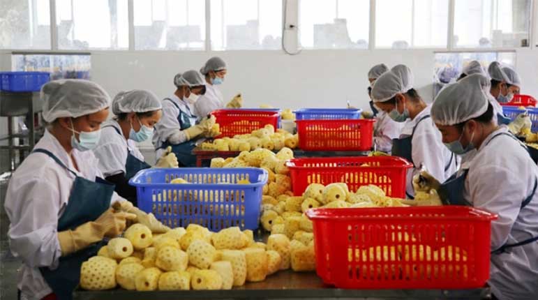 Thủ tục xuất khẩu sang Trung Quốc