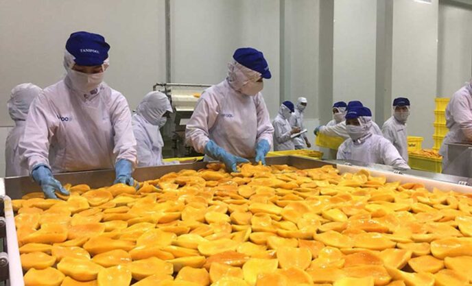 Xuất khẩu trái cây sấy khô