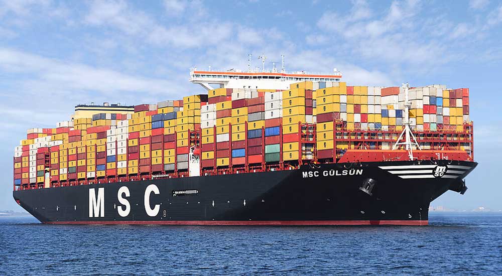 Shipping Line là gì? Tìm hiểu chi tiết công ty tàu biển chuyên tuyến là gì 1 Tàu MSC Gulsun