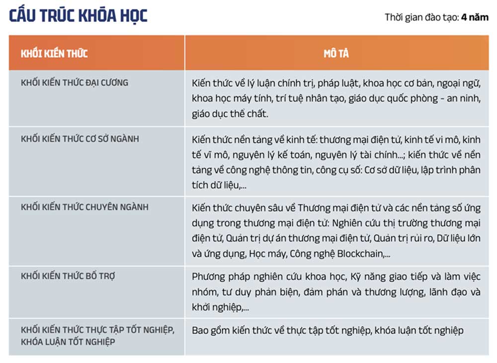 cấu trúc chương trình ngành thương mại điện tử