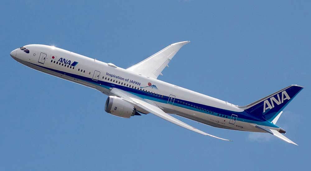 Các loại máy bay chở hàng trong vận tải hàng không 7 Boeing 787