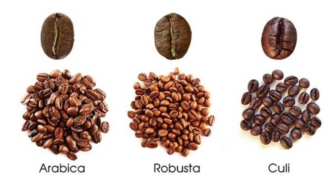 Các loại hạt cafe phổ biến hiện nay
