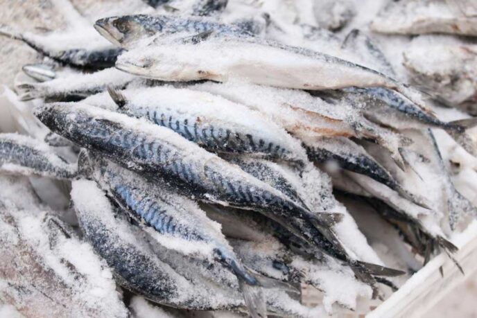 Nhập khẩu thủy sản đông lạnh