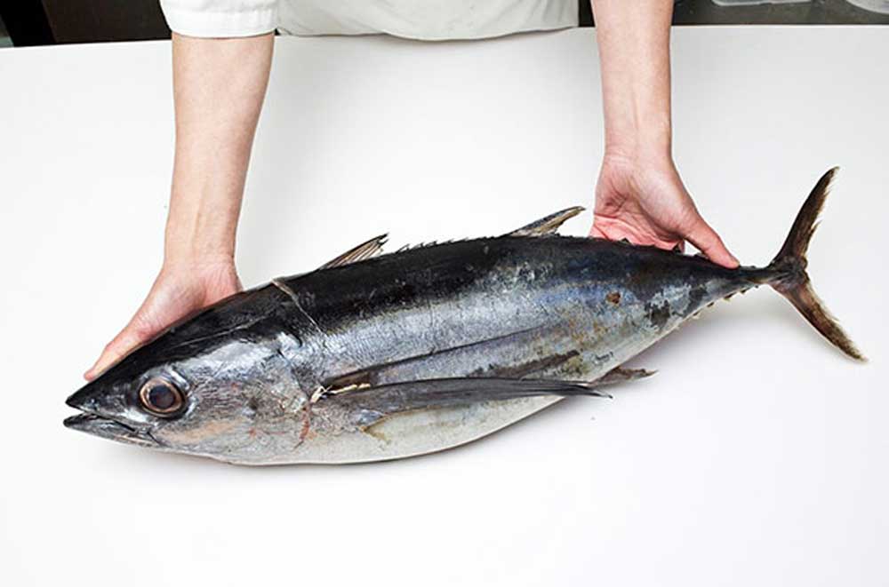 Cá ngừ nhập khẩu