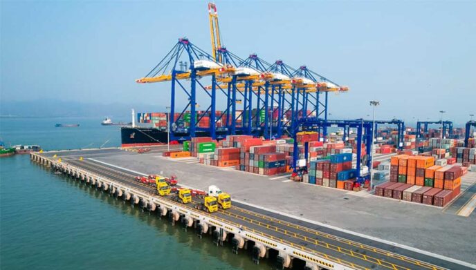 cang tai hai phong 1