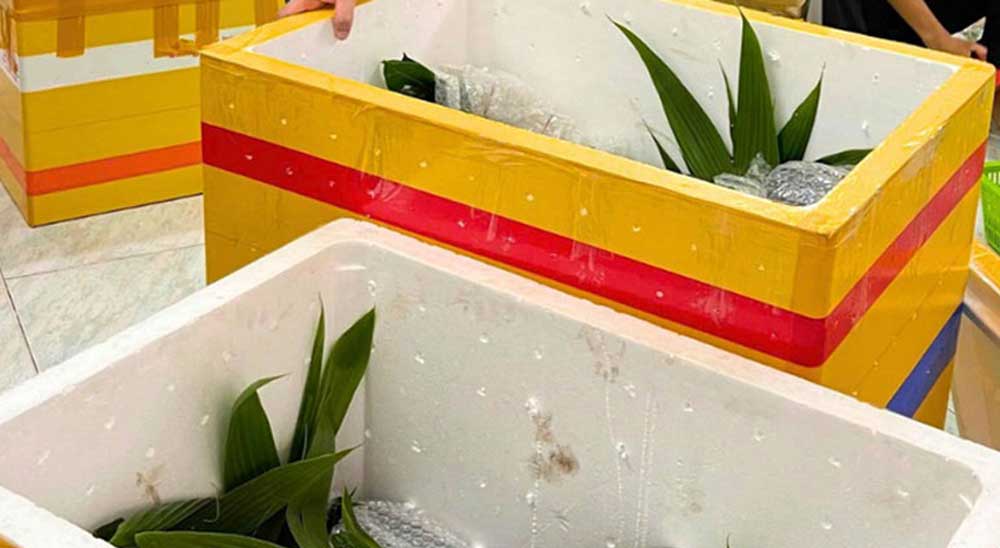 Dịch vụ gửi cây cảnh đi Mỹ giá rẻ, an toàn 2 Vận chuyển cây từ Việt Nam đến Mỹ