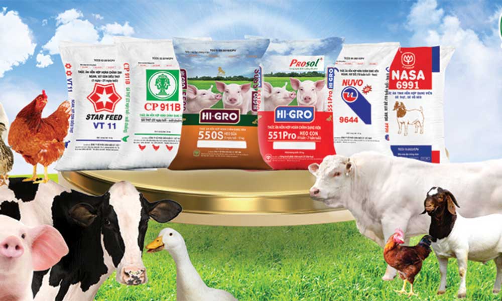 Thủ tục nhập khẩu thức ăn chăn nuôi