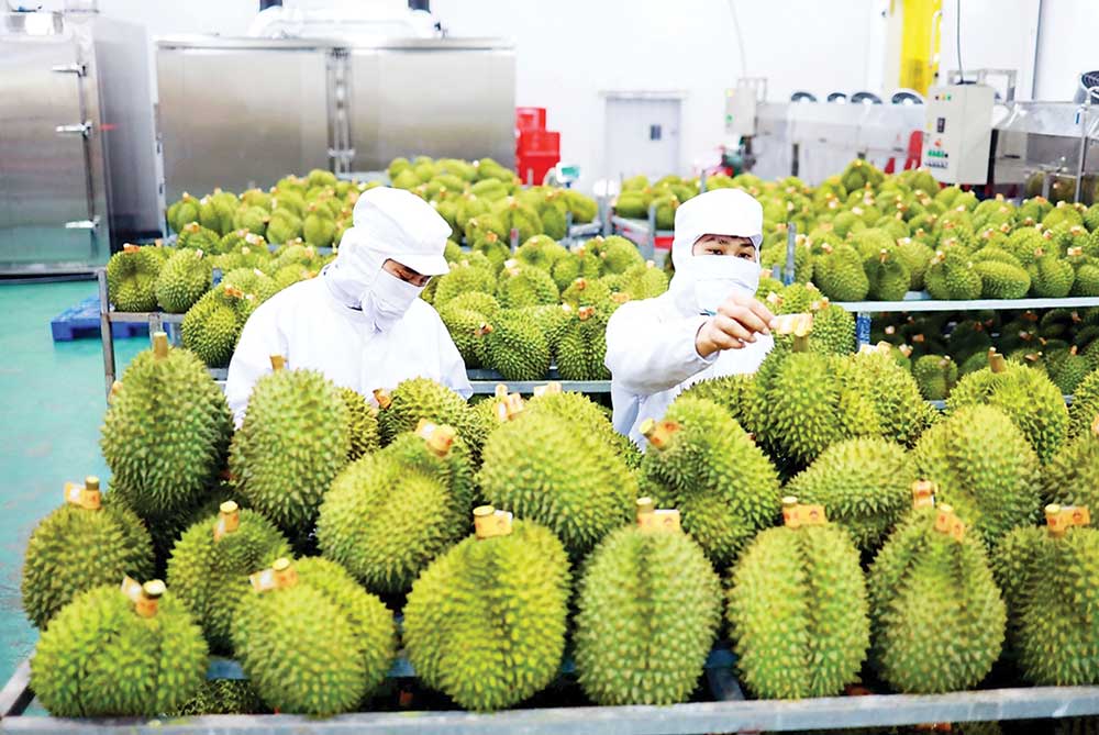 xuất khẩu hoa quả đi Trung Quốc